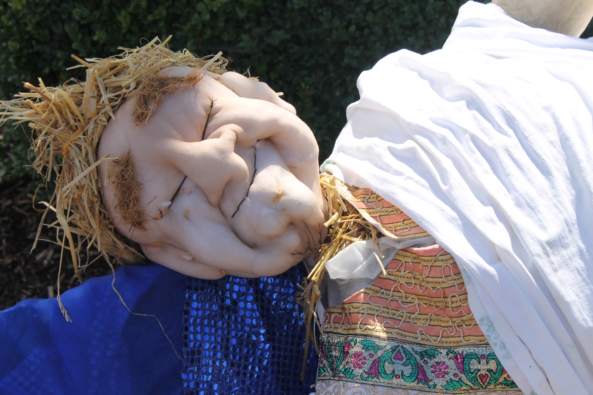 Countdown on to Durrow Scarecrow Festival