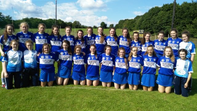 The Laois minor camogie team who beat Carlow