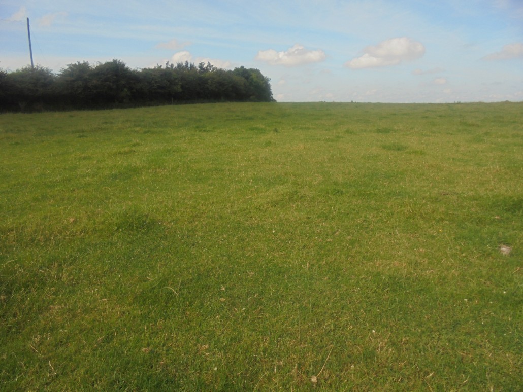 Extensive Ballypickas land on the market