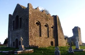 Serious incident in Stradbally