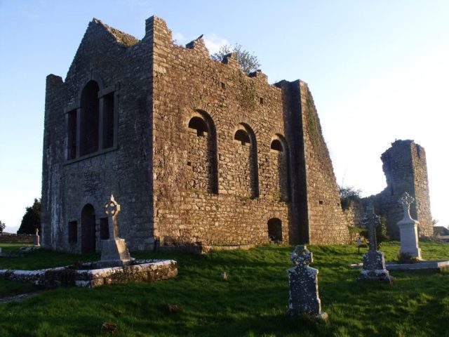 Serious incident in Stradbally