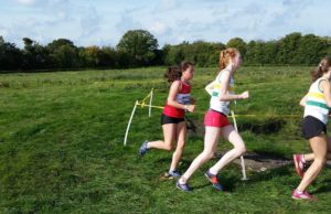Laois Primary School Cross Country Championships