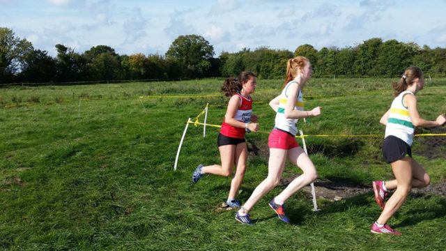 Laois Primary School Cross Country Championships