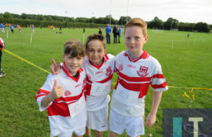 Competitors at the Laois Primary Schools Cross Country