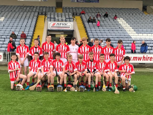 The Clonaslee-St Manman's team who contested the U-14 B hurling final this morning