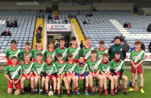 The Borris-Kilcotton team who constested the U-14 A final