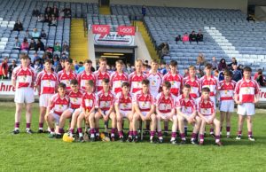 The Clough-Ballacolla Mountrath team who defeated The Harps in the U16 final