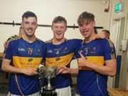 Matthew Finlay and Cormac O'Hora were in fine form for O'Dempsey's