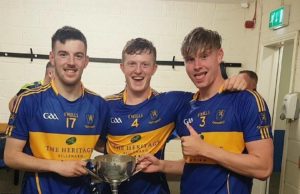 Matthew Finlay and Cormac O'Hora were in fine form for O'Dempsey's