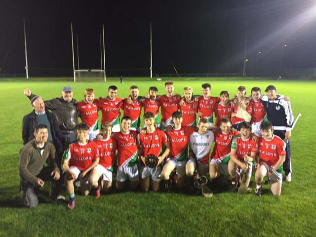 The Clonaslee-St Manman's team who won the U-17 B HC last week