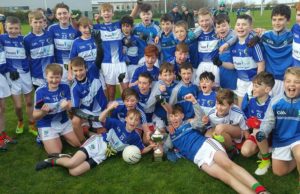 The Stradbally Parish Gaels team who won the U13 B championship - Niall Creery