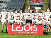 The Na Fianna Og team which played in the U-21 B final
