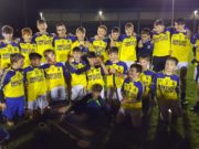 The Abbeyleix team who won the U-13 B hurling championship on Sunday