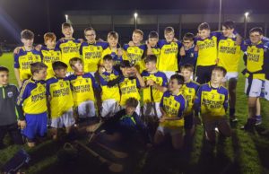 The Abbeyleix team who won the U-13 B hurling championship on Sunday