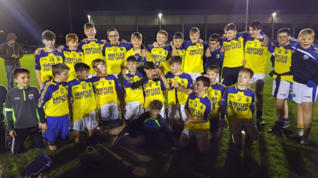 The Abbeyleix team who won the U-13 B hurling championship on Sunday