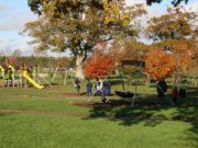 Portarlington Playground