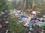 Disgusting images of dumping in rural Laois