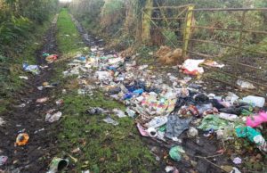 Disgusting images of dumping in rural Laois
