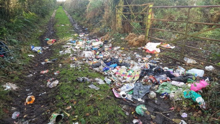 Disgusting images of dumping in rural Laois