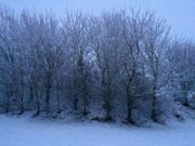 The school bus skidded in snowy conditions