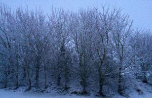 The school bus skidded in snowy conditions
