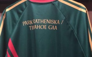 Park-Ratheniska and Timahoe have joined up to form a new hurling club