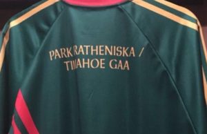 Park-Ratheniska and Timahoe have joined up to form a new hurling club