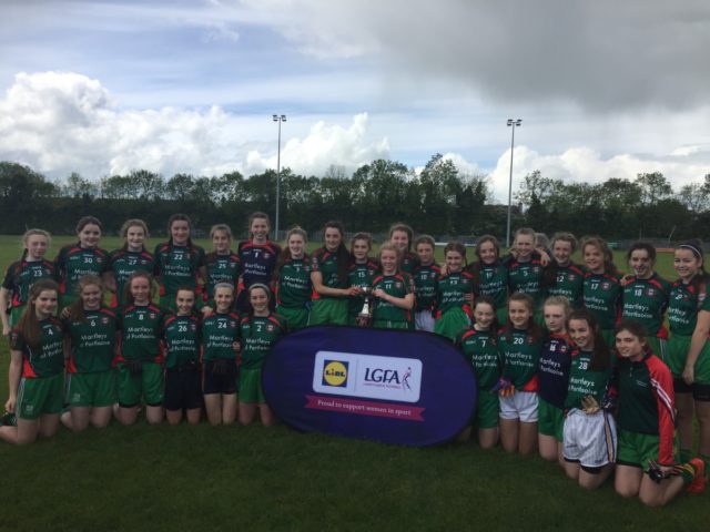 Scoil Chriost Ri have qualified for the Leinster U-16 final