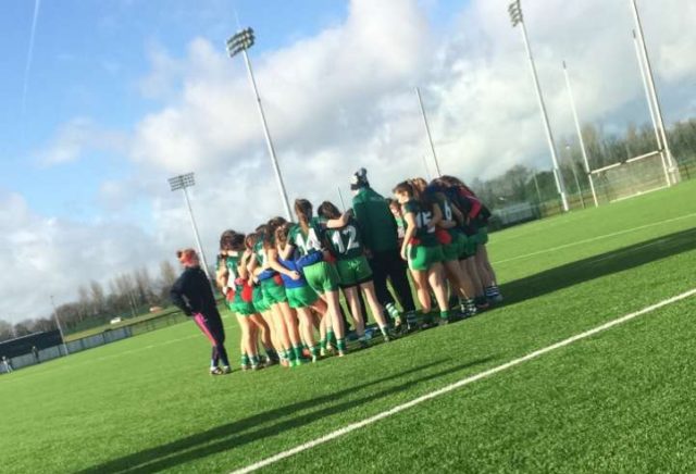 The Scoil Chriost Ri team which lost to Loreto Navan