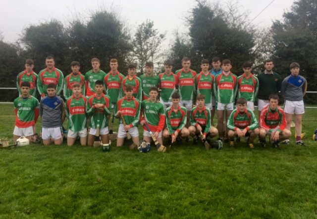 The St Fergal's Rathdowney team