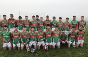 St Fergal's Rathdowney were crowned North Leinster Champions this afternoon
