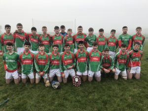 St Fergal's Rathdowney were crowned North Leinster Champions this afternoon