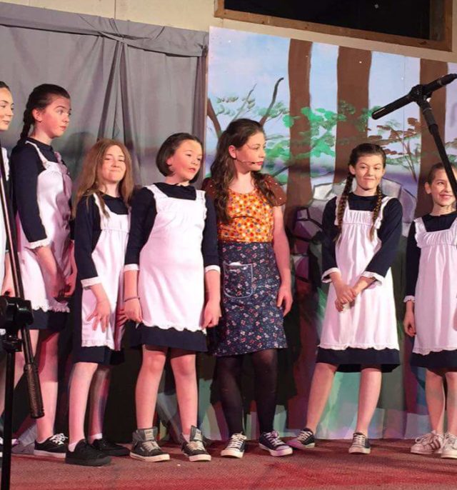 Members of the Wolfhill Panto on stage