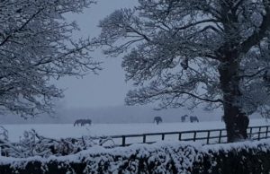 Forecasters are predicting we could see a foot of snow by Friday