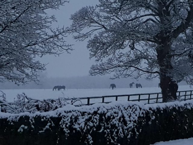 Forecasters are predicting we could see a foot of snow by Friday