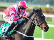 Totall Recall will be for Aintree Grand National glory