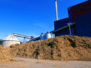 Biomass power plant