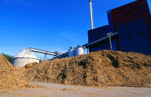 Biomass power plant