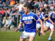 Stephen Attride is hoping a big crowd of Laois fans turn out next week - Picture: Paul Dargan