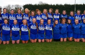 The Laois minor camogie team