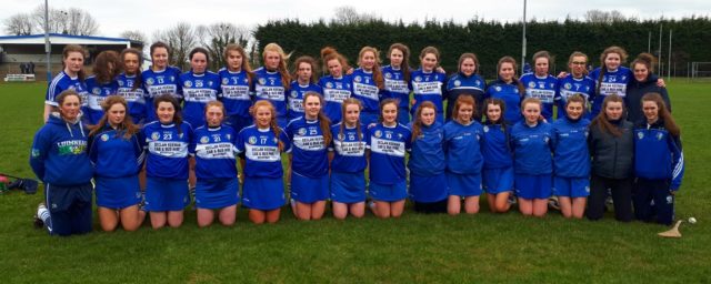 The Laois minor camogie team