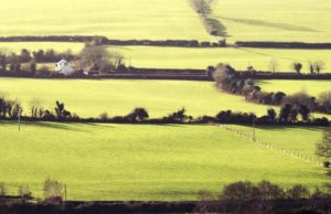 Land prices