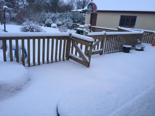 This picture, sent to us by Niamh O'Neill in Portarlington, shows just how much snow has fallen