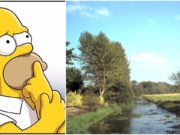 Homer Simpson would advise on flood stategy