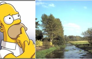 Homer Simpson would advise on flood stategy