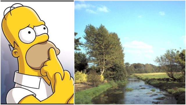 Homer Simpson would advise on flood stategy