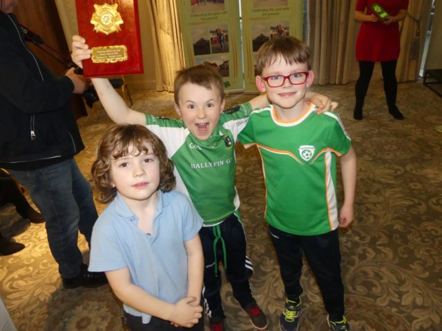 Portlaoise St Patrick's Day Awards night