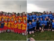 The Harps and O'Moore's will represent Laois