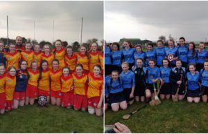 The Harps and O'Moore's will represent Laois
