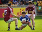 Finbarr Crowley achieved high praise - Photo Paul Dargan